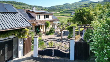 Ehemaliger Winzerhof in traumhafter Randlage umgeben von Weinbergen 79235 Vogtsburg i.K. / Bickensohl, Einfamilienhaus