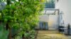 360°-Rundgang | Großes Einfamilienhaus mit Einliegerwohnung in wunderschöner ruhiger Randlage - Abschließbarer, überdachter Abstellbereich für Fahrräder, Gartengeräte, Mülltonnen etc.